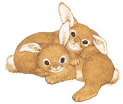 Rabbits - Two Rabbits cuddling