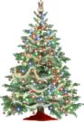 Merry Cristmas - Laser light Christmas tree and Merry Christmas 2007