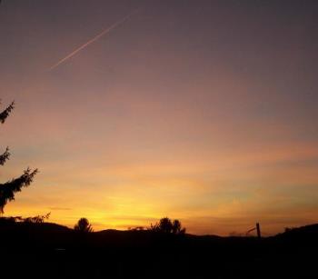 Sunset - A picture I took from the roof of my Back porch.