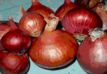 onions - onions are used in allmost all dishes prepared in India
