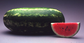 watermelon - full watermelon and a cut slice