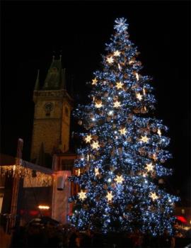 Christmas Tree - This is a picture of a beautiful Christmas tree. It is a good example of a tree decorate in only 2 colors.