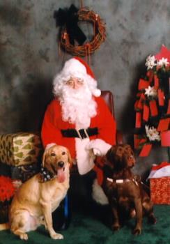 dogs and Santa - Santa with dogs