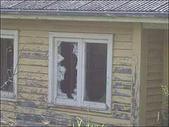 Window - window