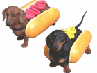 weenie dogs - weenie dogs
