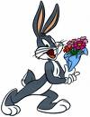 bugs  - a pic of bugs bunny for prettyhanan