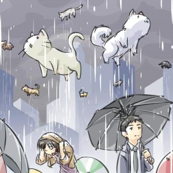 its raining dogs - too much dogs will cause confusion and animal competition