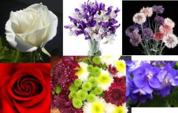 Flowers - A dreamy bouquet. Flowers - A dreamy bouquet.