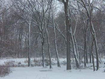 Gimmie more snow.... - Took this pic looking out from our patio door. I get such beautiful views from our slider. 