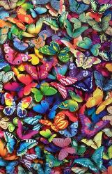 Butterflies - Rainbow Colored Butterflies