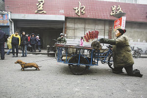 the great puppy and its master on the street in th - this puppy is really of great help to its master 