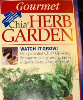 My Chia Herb Garden - My Chia Herb Garden will add fresh veggies to my soups & stuff.

