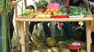 Fruits - Organic fruits displayed for sale.