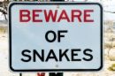warning - snakes are scary!