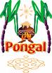 Happy Pongal - Hope you enjoy