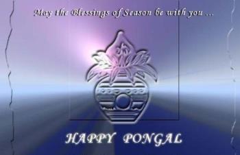 Happy Pongal - Wish you a very happy Pongal my friends.