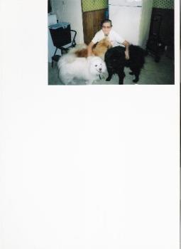 me and our dogs - pic of me and our dogs in my kitchen!