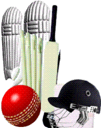 cricket - cricket gear