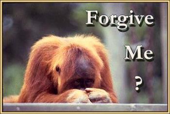 Forgive me - Monkey asking for forgiveness. Very funny