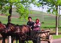 ROMANIAN COUPLE  - Romanian couple traveling up the road in their buggy.