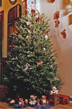 Another photo of the Christmas tree - image of my Christmas tree Another photo of the Christmas tree - image of my Christmas tree
