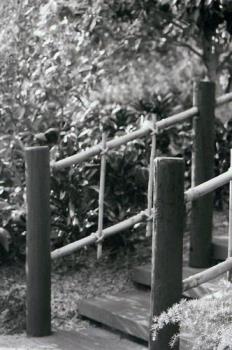Photo Of Wooden Stepway - image from Polynesian Village Photo Of Wooden Stepway - image from Polynesian Village