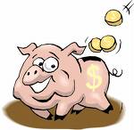 Piggy bank - piggy bank