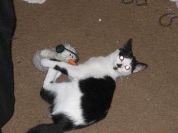 Carlye and her Snowman Pal - This is my little Carlye playing with the stuff snowman a friend gave me. 