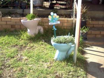 Herb containers holding parsley and apple mint. - My wacky sense of humour came up with these &#039;pots&#039; for growing herbs.