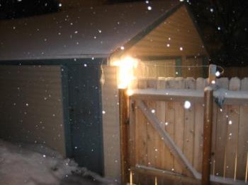 Snow is falling - Taken out my back door. Snowing lightly at the time this was shot. Snow is falling - Taken out my back door. Snowing lightly at the time this was shot.