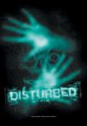 disturbed - disturbed by everyting going on