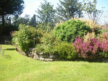 My Top Garden - Heather - My top garden containing mainly heather and evergreens, with a few roses added in. My Top Garden - Heather - My top garden containing mainly heather and evergreens, with a few roses added in.