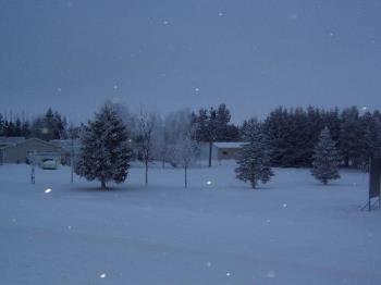 Falling snow at dusk in Southwestern Manitoba - This picture was taken outside our rural community...the stark stillness created feeling of joy for me.