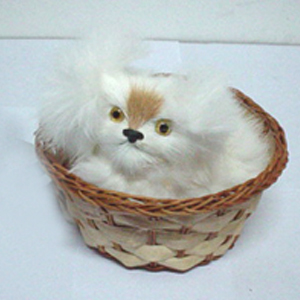 A cute little dog in the basket - A cute little dog in the basket. Awww A cute little dog in the basket - A cute little dog in the basket. Awww