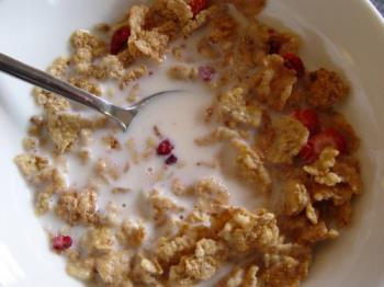strawberries in cereal - freeze dried strawberries come to life with a little milk