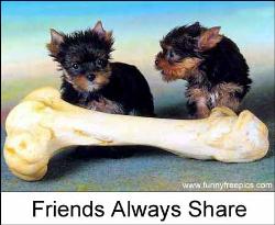 friends share - friendship