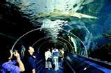 Aquarium - Something I&#039;ve wanted to go do for a long time