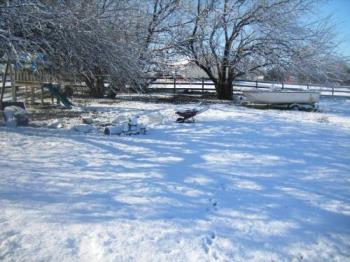Texas Snow in March of 2008 - Here&#039;s a quick pic of part of our backyard where the snow was!!