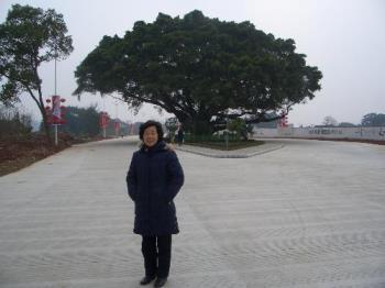 the beautiful curvatures of the huge tree - this huge tree is about three hundred years old. I love this beautiful curvatures of its branches spreading around. This is my mother-in-law you can see in the picture, like my own mom. I love her as much as my own. 