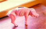 This is MY piggy bank. lol - because it has NO money in it! It&#039;s dying of starvation!