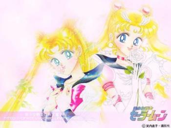 sailormoon - my sailormoon collection