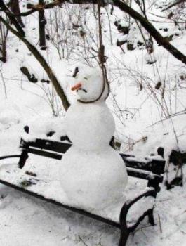 It's been a rough winter.... - This was taken by a friend at our local town park. It's been a rough winter.... - This was taken by a friend at our local town park.