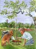 Spring Time Planting - is here in North Carolina. Right now at noon it's 64 degrees and very pretty outside. Spring Time Planting - is here in North Carolina. Right now at noon it's 64 degrees and very pretty outside.