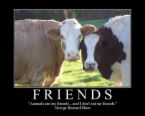 Friends -  "True friendship is like sound health; the value of it is seldom known until it be lost."
- Charles Caleb Colton