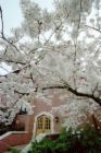 Spring has sprung! - spring signs