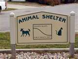 Animal Shelter - where I volunteered was a no kill shelter