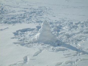 Snow ma... I mean mole hill... - This is a true Texans Snow Man!!!