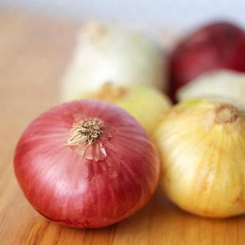 varity of onions - onions have been cultivated for over five thousand years. They were once used as currency by the Egyptians