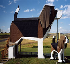 Dog Bark Park Inn - Is this for real?! It is so funny! I'd love to stay there! It would be too cool!