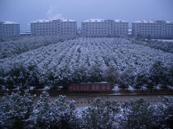 snow on compus on Dec 30, 07 - this is a photo of our campus with snow on the trees. it was so cold that day because of the snow.